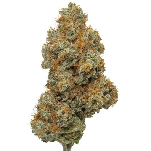 Northern Lights Acheter Boutique THC Premium