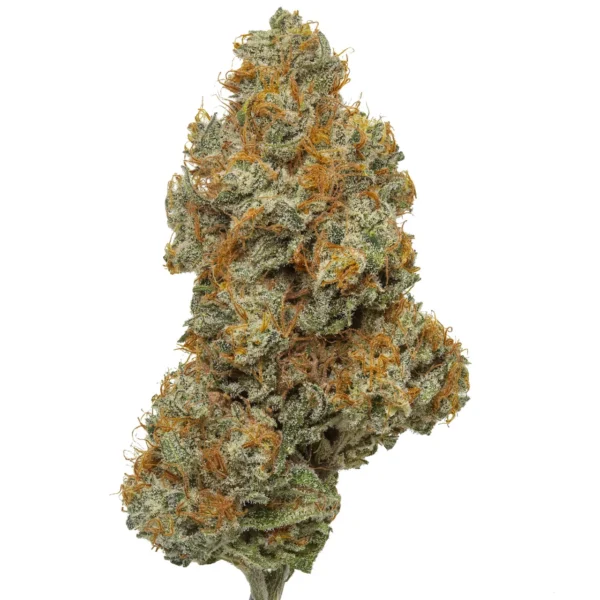 Northern Lights Acheter Boutique THC Premium