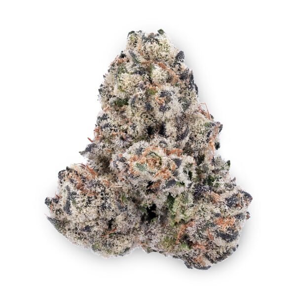 Amnesia Haze acheter