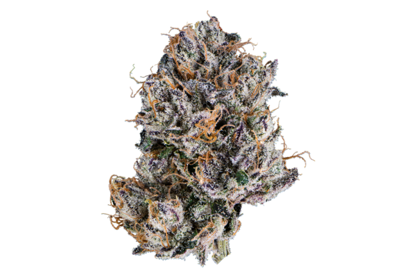 White Cherry Gelato THC 36.27%