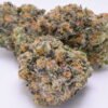 White Cherry Gelato THC 36.27%