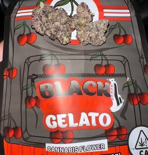 Black Cherry Gelato THC 31.307%