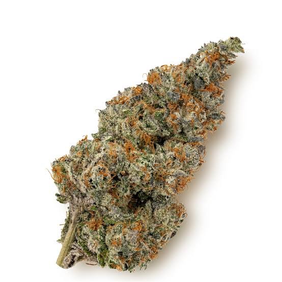 Og Kush acheter