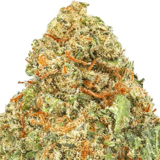Super Lemon Haze THC 25%