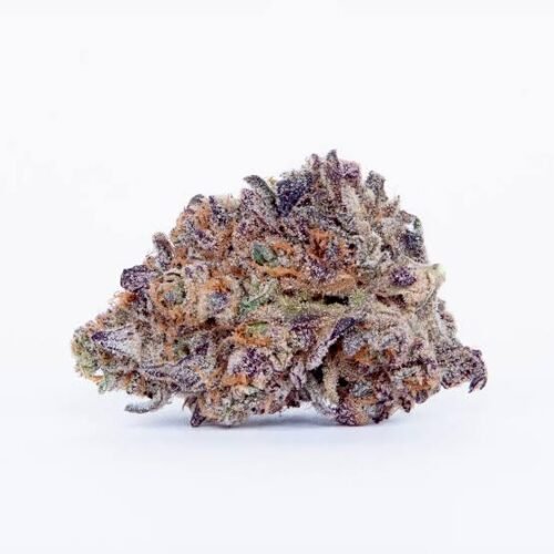 Gushers Acheter Boutique THC Premium