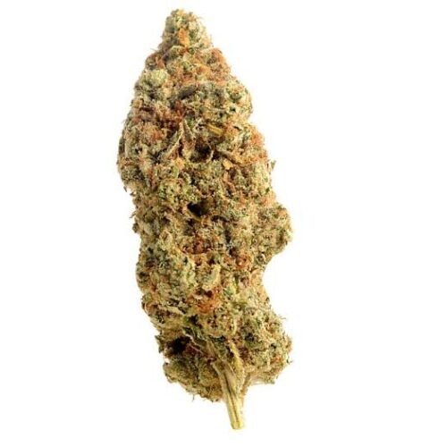 Amnesia Haze 25% THC  Boutique THC Premium