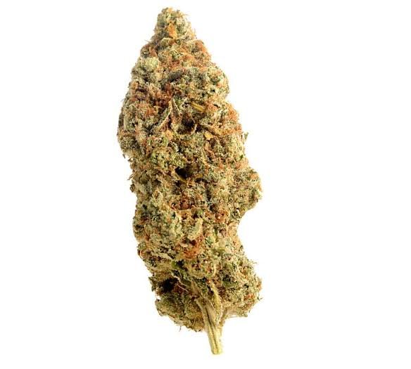 Amnesia Haze 25% THC  Boutique THC Premium