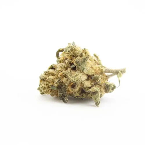 gorilla-kush-small-buds gorilla kush small buds