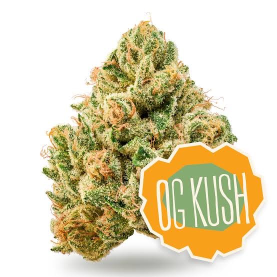 images - 2026-09-21T133340.806 acheter og kush france 18%