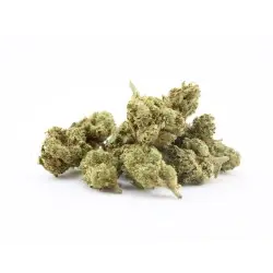 orange-organic-small-buds fleur de chanvre cbd