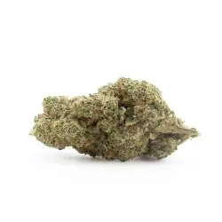 white-russian- fleur h3 turbo-blue-zushi